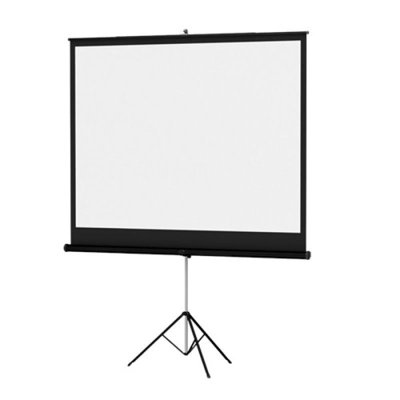 Projector Screens market