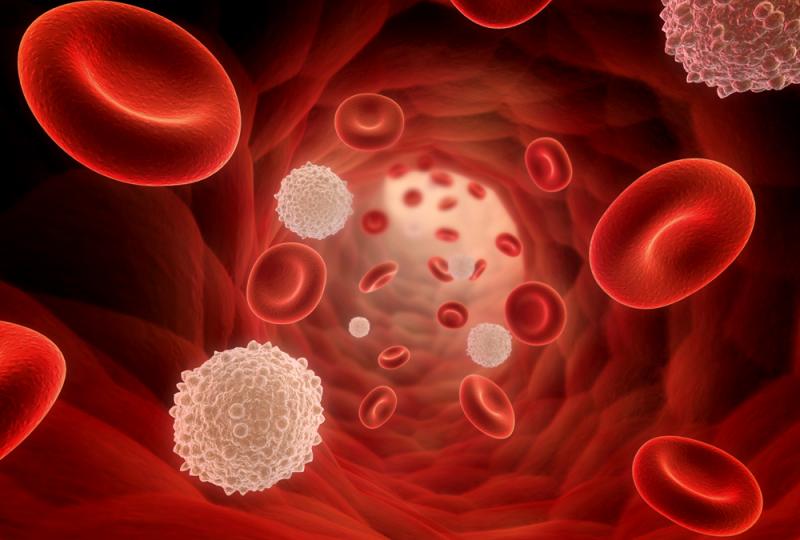 Prostate Specific Antigen Industry Market