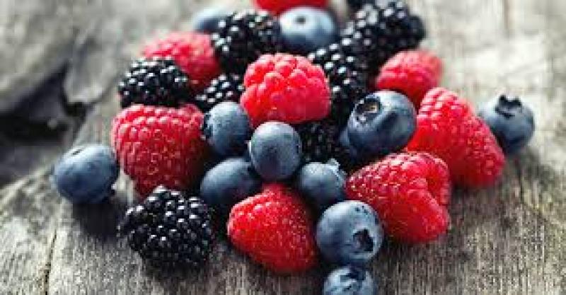 Protein Based Fat Replacers