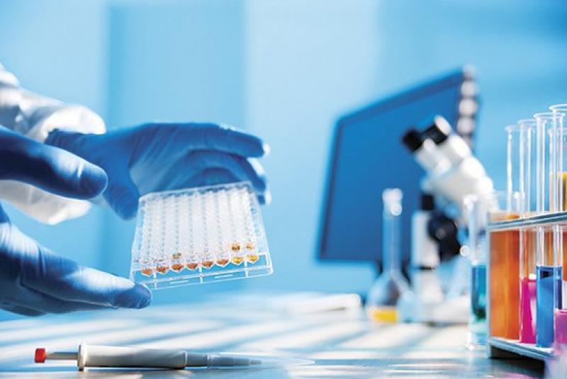 Protein Purification & Isolation Market 