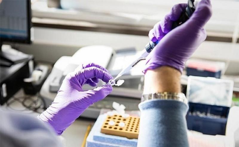 Protein Stability Analysis Market