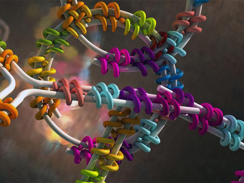 Protein Stability Analysis