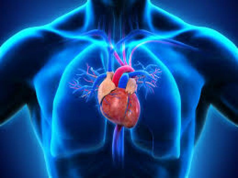Pulmonary Arterial Hypertension (PAH) Drugs