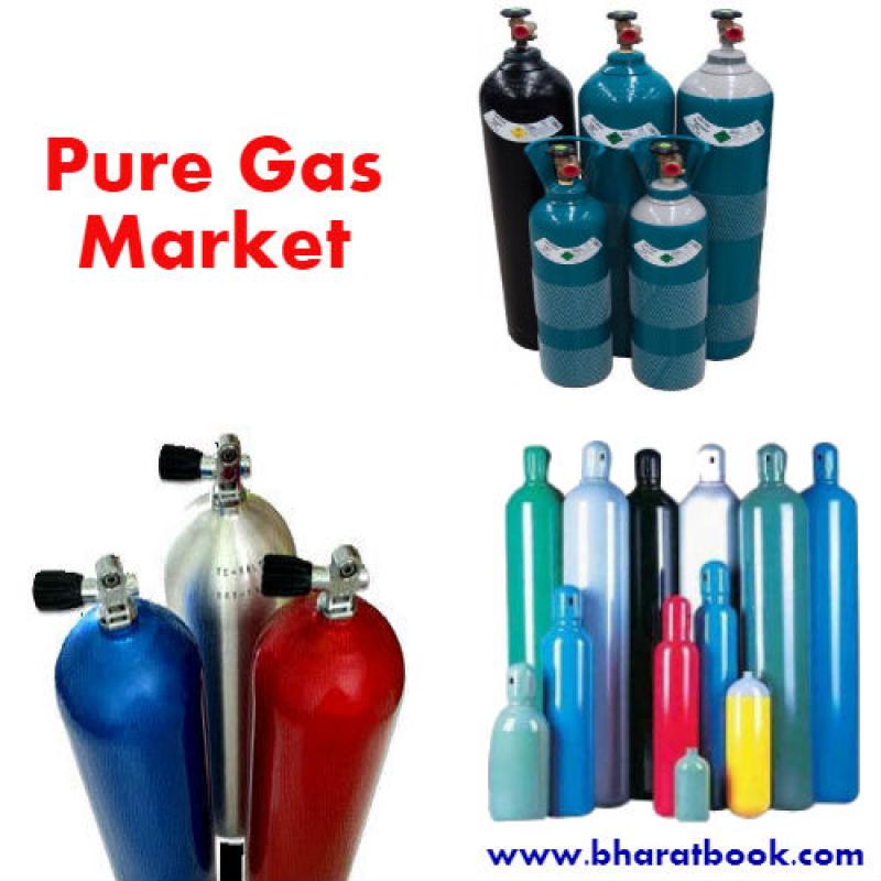 United States Pure Gas Market Revenue, Opportunity, Segment and Key Trends 2018