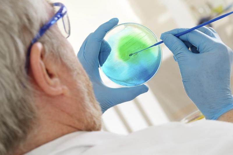 Pyrogen Testing Market