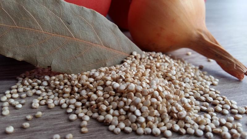 Quinoa Seed , Quinoa Seed Market, Quinoa Seed Market Growth, Presses Release, Quinoa Seed Manufacturers, Quinoa Seed Status, Quinoa Seed Market Size