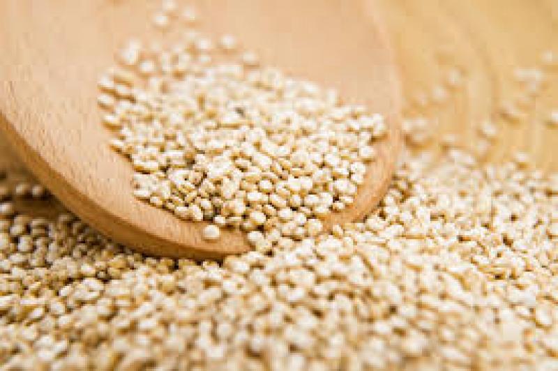 Quinoa Seed Market