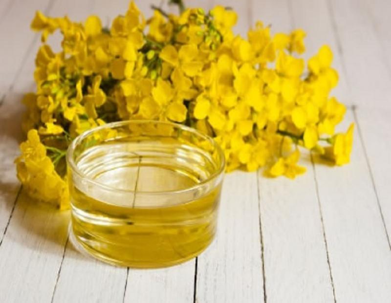Rapeseed Oil, Rapeseed Oil Market, Rapeseed Oil Market Growth