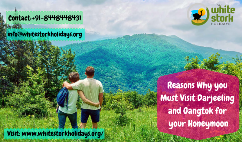 Darjeeling and Gangtok for Honeymoon