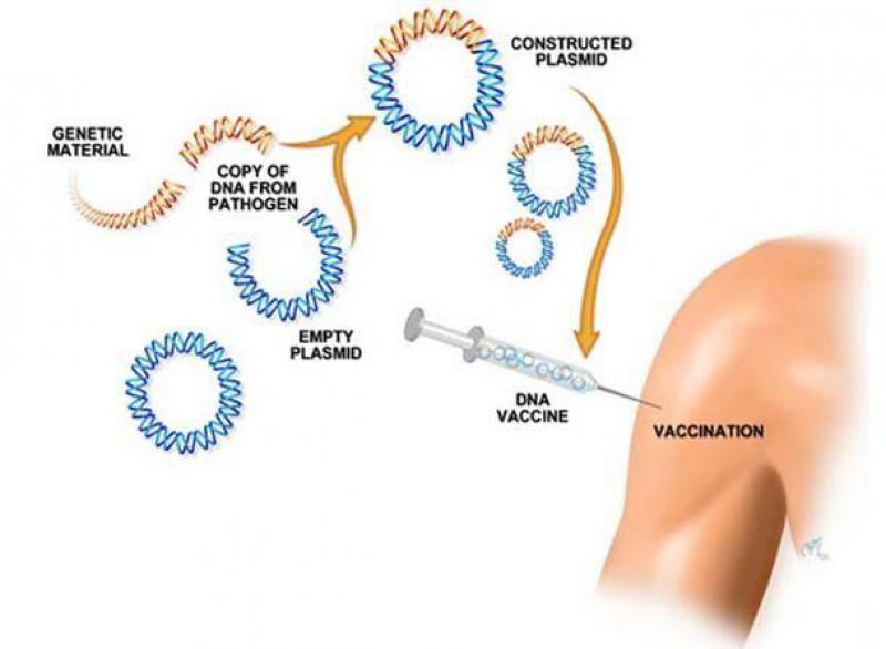 Vaccines Market