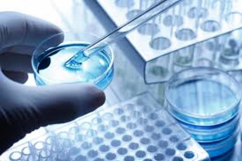 Regenerative Medicine