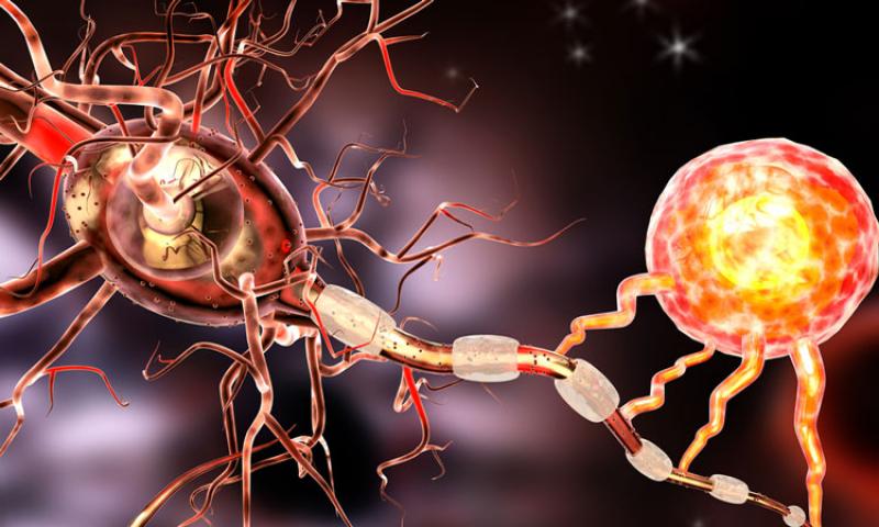 Relapsing-Remitting Multiple Sclerosis Market