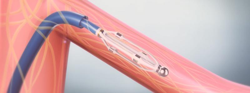Renal Denervation Market
