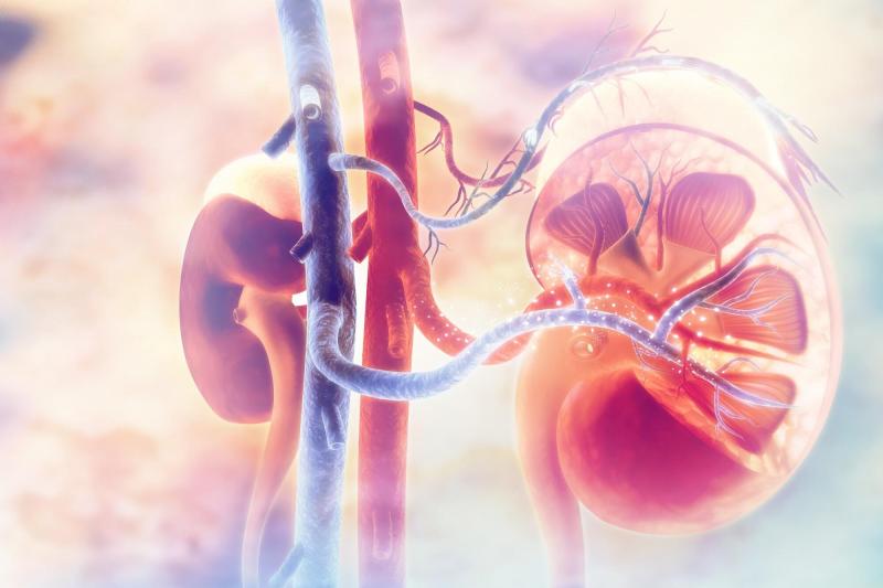 Renal Denervation Market