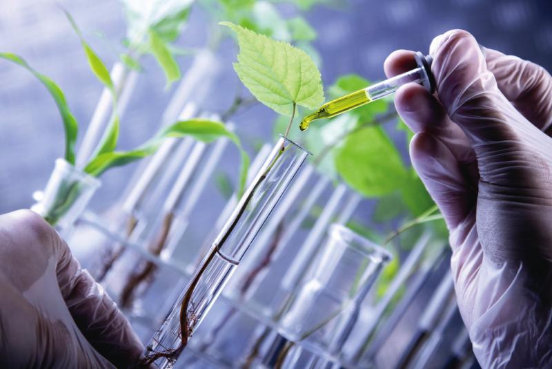 Renewable Chemicals Market 