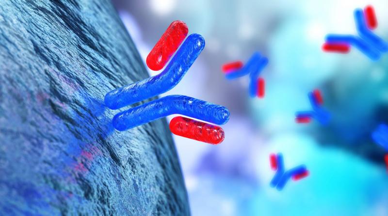 Research Antibodies Market 