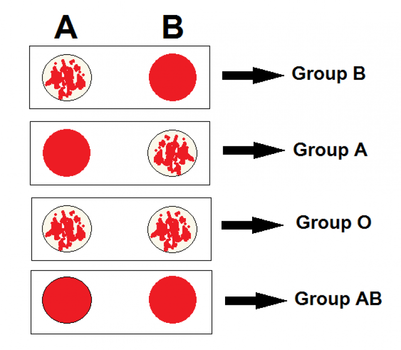 Blood groups