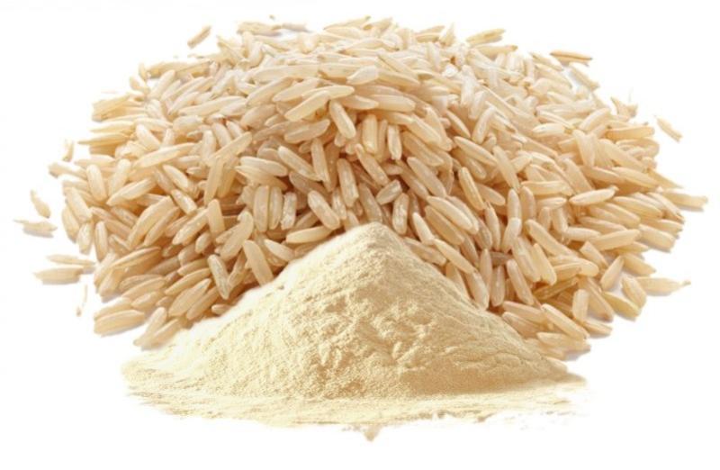 Rice Protein Market