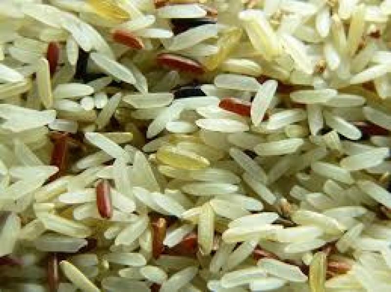 Rice Seed , Rice Seed Market, Rice Seed Market Growth, Presses Release, Rice Seed Manufacturers, Rice Seed Status, Rice Seed Market Size, Rice Seed Dec 2013, News Release