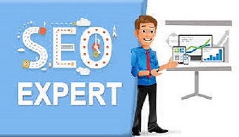 Seo experts