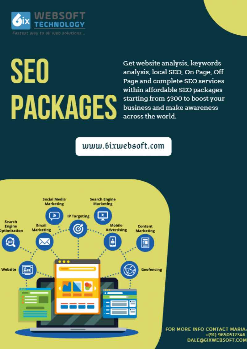 SEO Packages Starting @ 300$