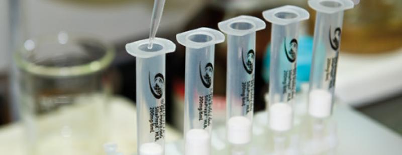 SPE Cartridge