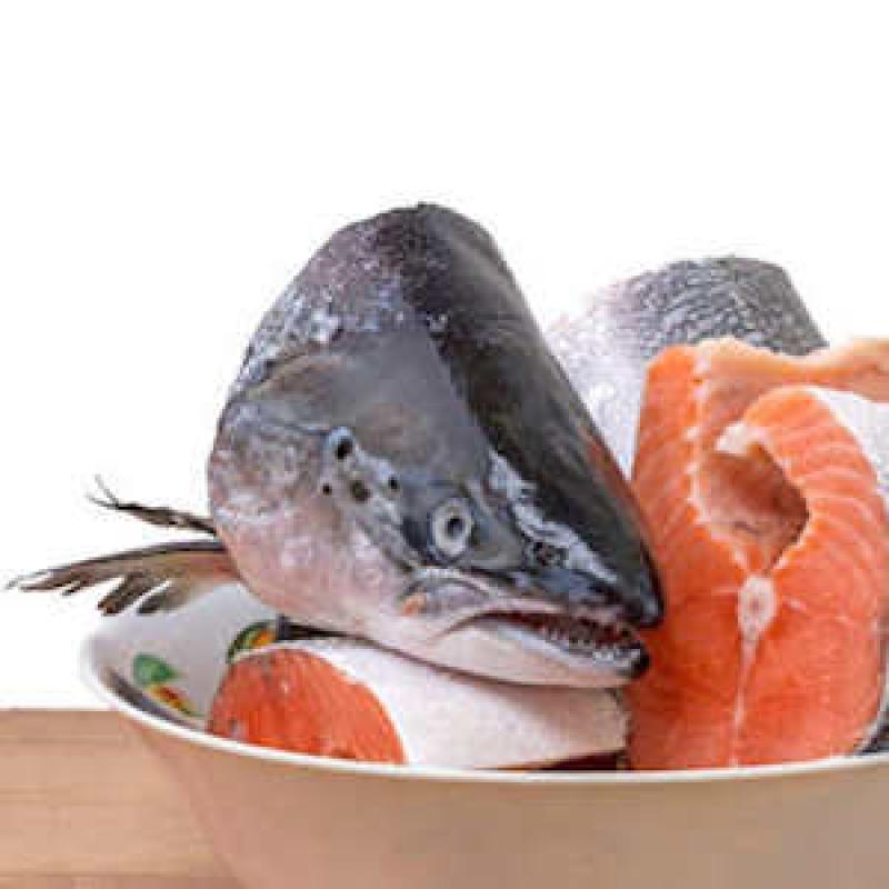 Salmon Fish