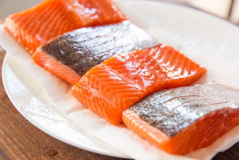 Salmon Fish 