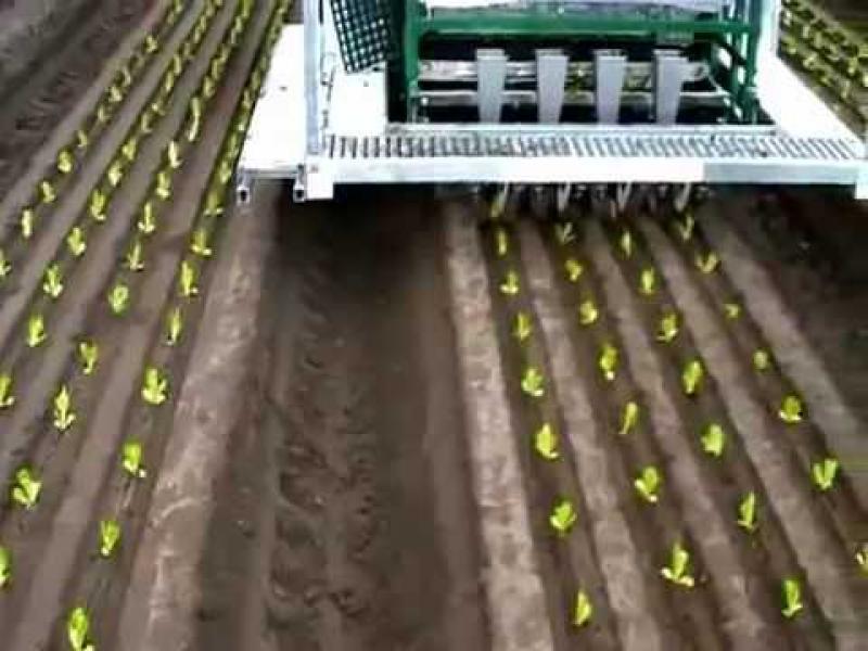 Seed Planting Machinery Market