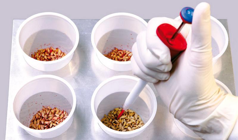 Seed Treatment
