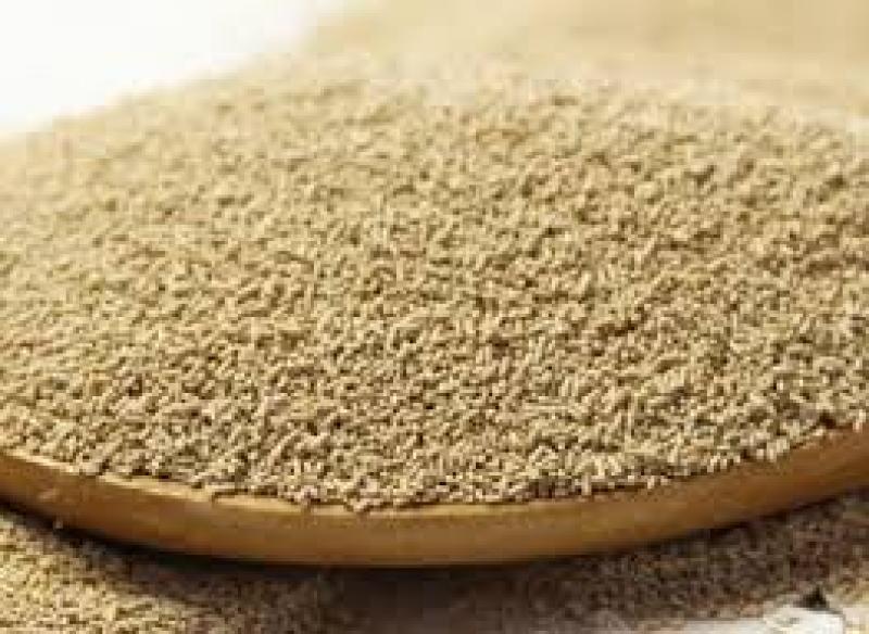 Selenium-enriched Yeast Selenium-enriched Yeast