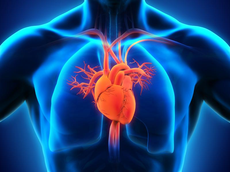 Severs Disease Treatment