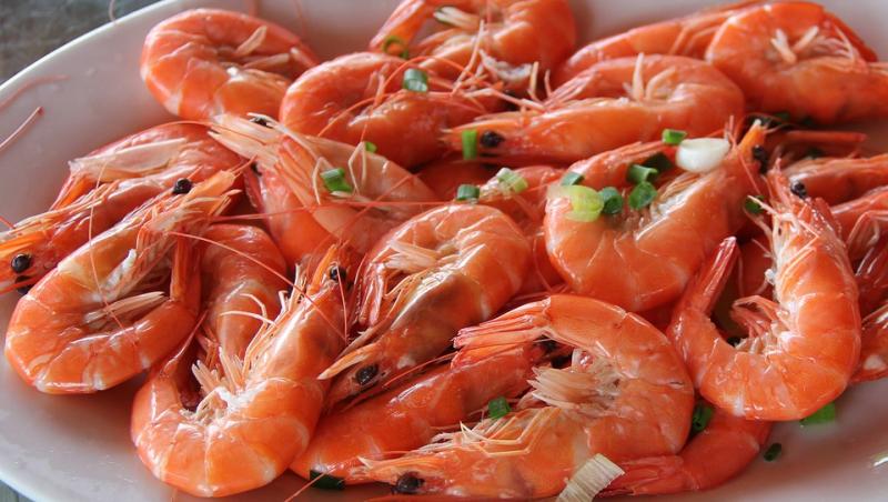 Shrimp Industry Report Forecast 2023 Shrimp Industry Report