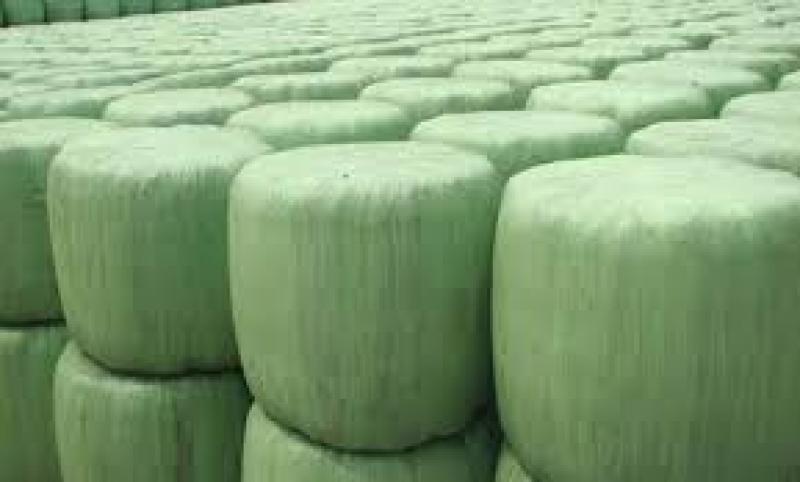 Silage Films market