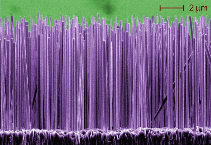 Silicon Nanowires Market