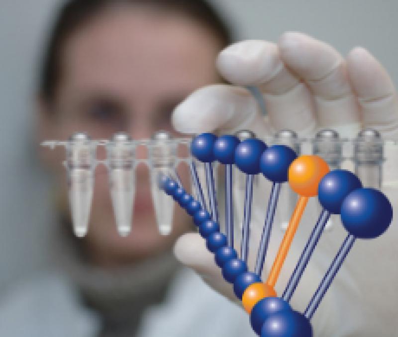 Single Nucleotide Polymorphism (SNP) Genotyping