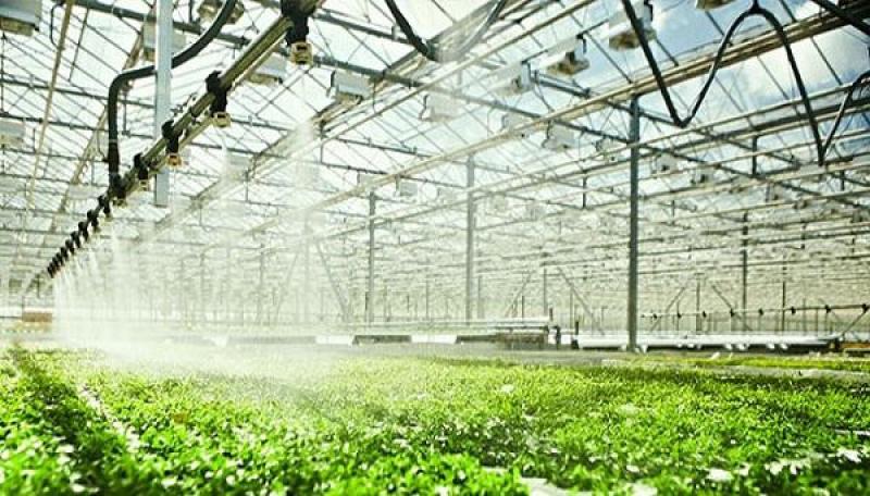 Smart Greenhouse Irrigation System 
