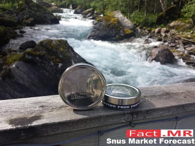 Snus Market-Fact.MR