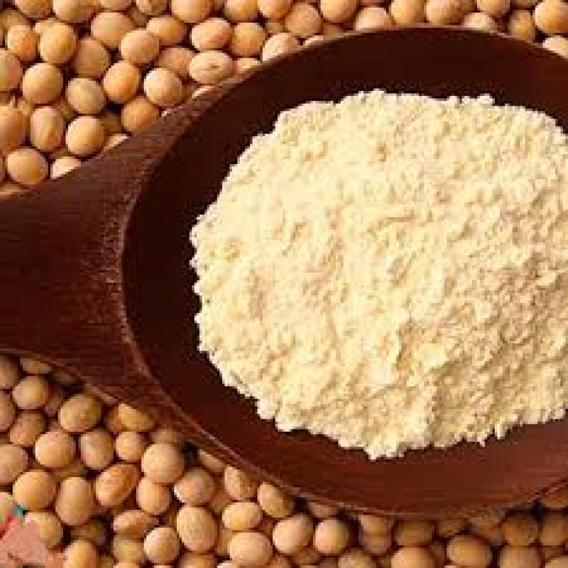 Soy Protein Market 