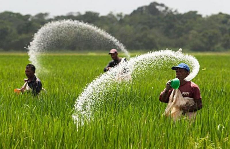 Specialty Fertilizers, Specialty Fertilizers Market, Specialty Fertilizers Market Growth