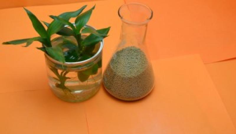 Specialty Zeolites