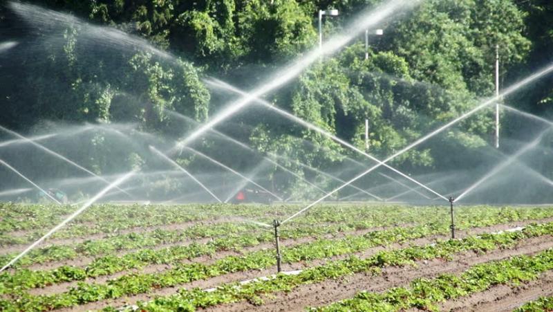 Sprinkler Irrigation Systems Market