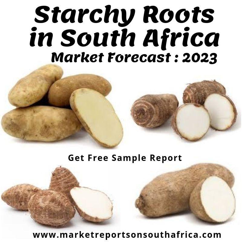 latest market report on starchy roots in south africa