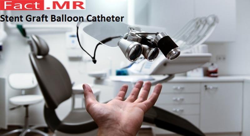 Stent Graft Balloon Catheter- Fact.MR