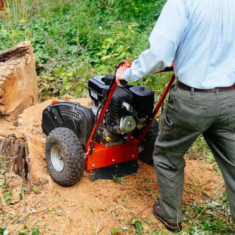 Stump Grinders Market Analysis 2018 and In-depth Research on Emerging Growth Factors Stump Grinders, Stump Grinders Market, Stump Grinders Market Growth