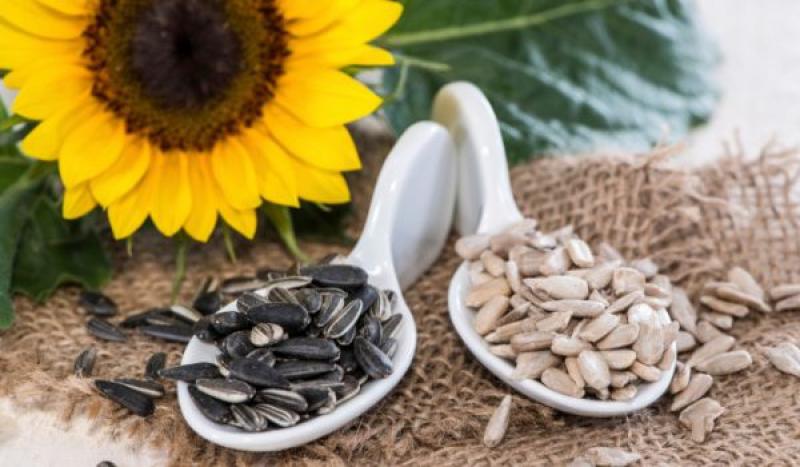 Sunflower Seeds