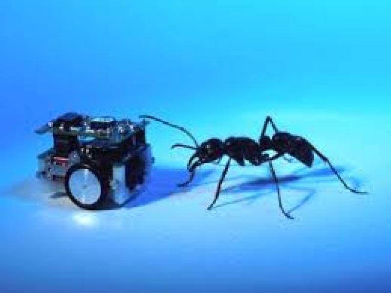 Swarm Intelligence