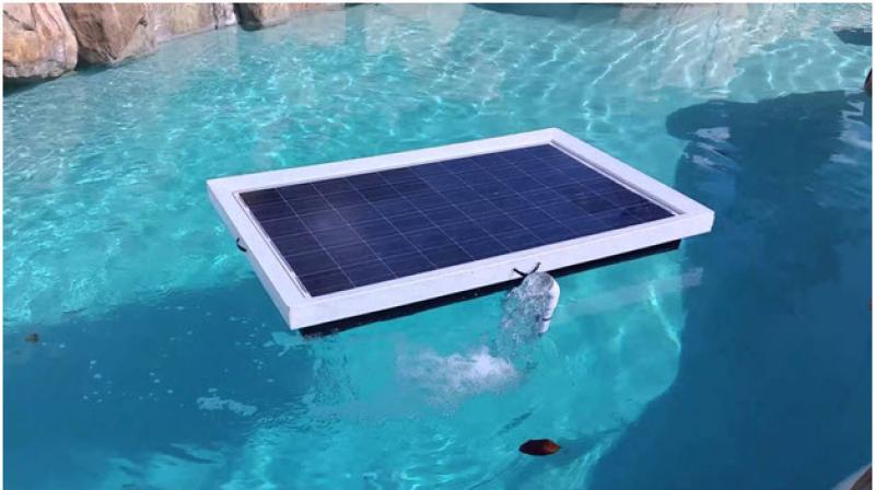 Swimming Pool Heaters Market 
