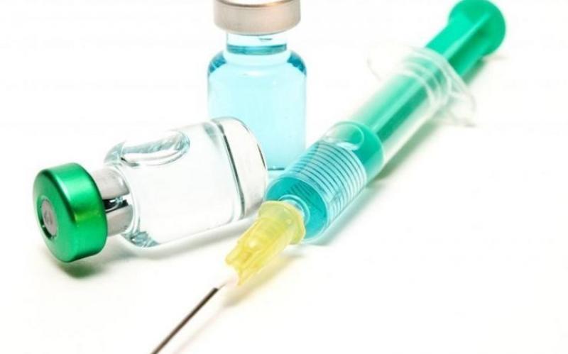 Classical Swine Fever Vaccines Classical Swine Fever Vaccines