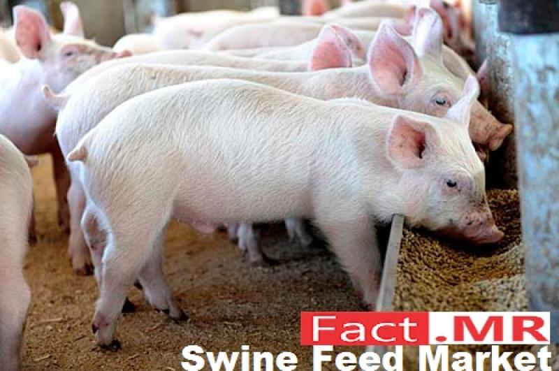 Swine feed market
